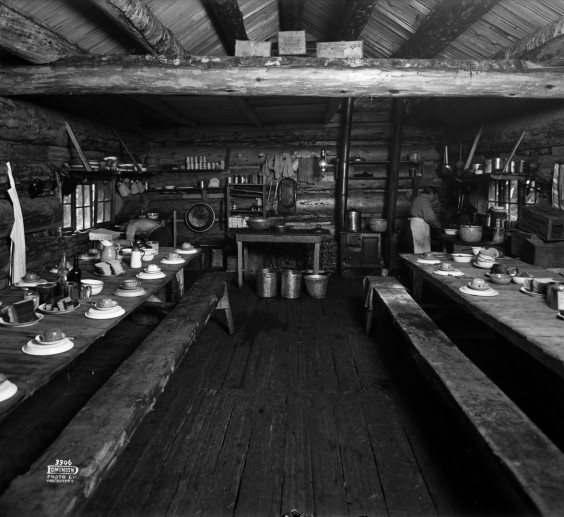 Interno cantina Borgo Viola